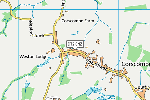 DT2 0NZ map - OS VectorMap District (Ordnance Survey) DT2 0NZ map - OS VectorMap District (Ordnance Survey)