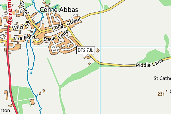 DT2 7JL map - OS VectorMap District (Ordnance Survey)