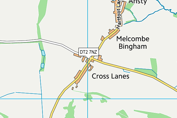 DT2 7NZ map - OS VectorMap District (Ordnance Survey) DT2 7NZ map - OS VectorMap District (Ordnance Survey)