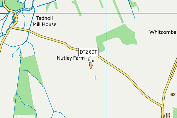 DT2 8DT map - OS VectorMap District (Ordnance Survey) DT2 8DT map - OS VectorMap District (Ordnance Survey)
