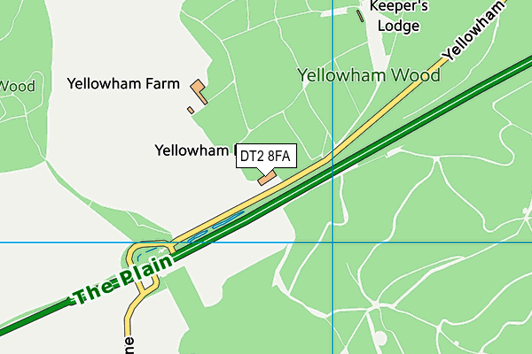 DT2 8FA map - OS VectorMap District (Ordnance Survey) DT2 8FA map - OS VectorMap District (Ordnance Survey)