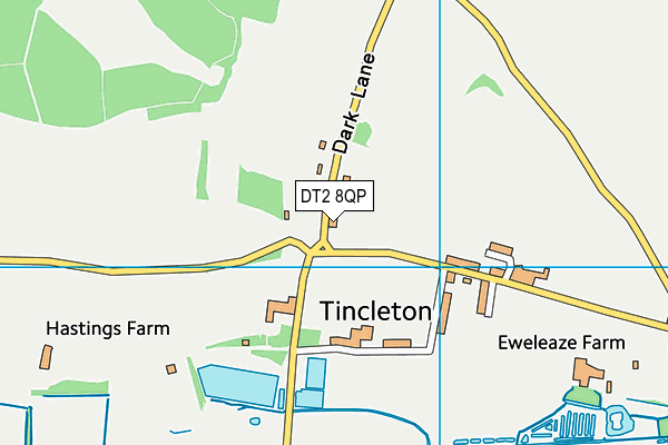 DT2 8QP map - OS VectorMap District (Ordnance Survey)