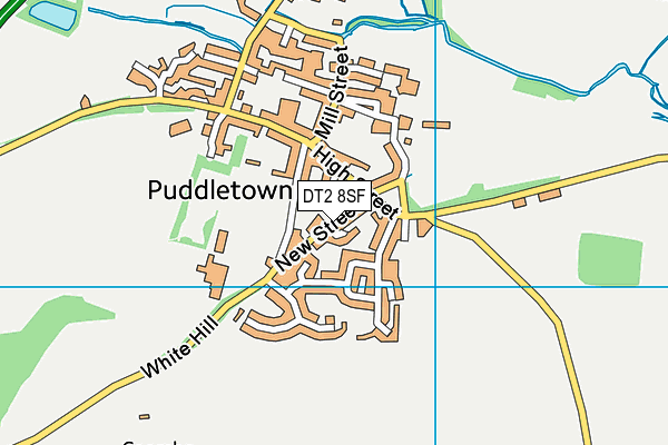 DT2 8SF map - OS VectorMap District (Ordnance Survey) DT2 8SF map - OS VectorMap District (Ordnance Survey)