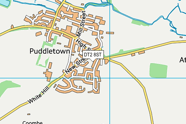 DT2 8ST map - OS VectorMap District (Ordnance Survey) DT2 8ST map - OS VectorMap District (Ordnance Survey)