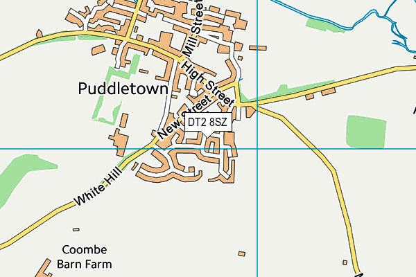 DT2 8SZ map - OS VectorMap District (Ordnance Survey)