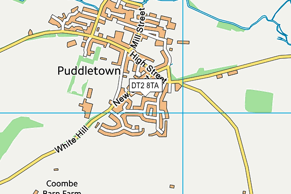 DT2 8TA map - OS VectorMap District (Ordnance Survey) DT2 8TA map - OS VectorMap District (Ordnance Survey)