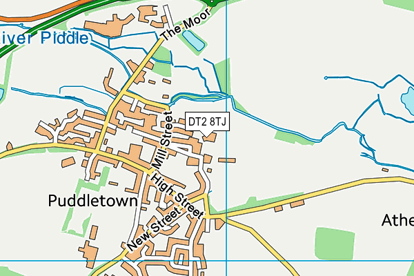 DT2 8TJ map - OS VectorMap District (Ordnance Survey) DT2 8TJ map - OS VectorMap District (Ordnance Survey)