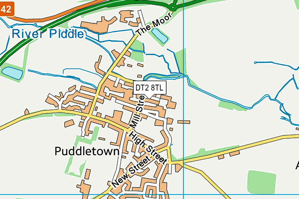 DT2 8TL map - OS VectorMap District (Ordnance Survey) DT2 8TL map - OS VectorMap District (Ordnance Survey)