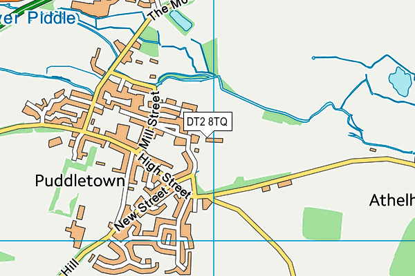 DT2 8TQ map - OS VectorMap District (Ordnance Survey) DT2 8TQ map - OS VectorMap District (Ordnance Survey)