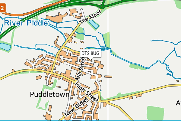 DT2 8UG map - OS VectorMap District (Ordnance Survey) DT2 8UG map - OS VectorMap District (Ordnance Survey)