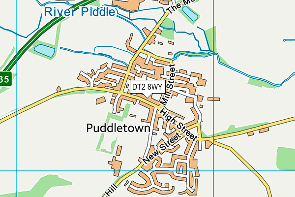 DT2 8WY map - OS VectorMap District (Ordnance Survey)