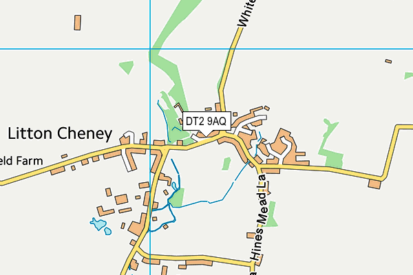 DT2 9AQ map - OS VectorMap District (Ordnance Survey) DT2 9AQ map - OS VectorMap District (Ordnance Survey)
