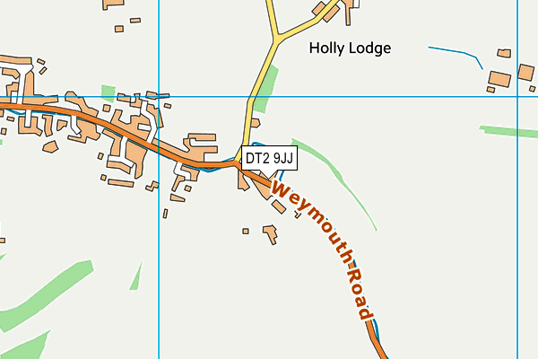 DT2 9JJ map - OS VectorMap District (Ordnance Survey) DT2 9JJ map - OS VectorMap District (Ordnance Survey)