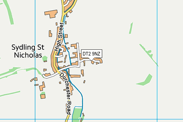 DT2 9NZ map - OS VectorMap District (Ordnance Survey) DT2 9NZ map - OS VectorMap District (Ordnance Survey)