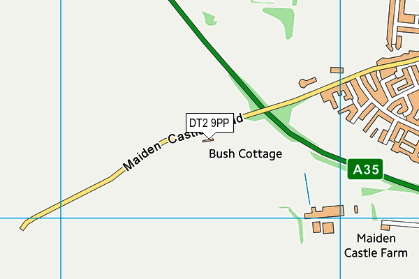 DT2 9PP map - OS VectorMap District (Ordnance Survey) DT2 9PP map - OS VectorMap District (Ordnance Survey)