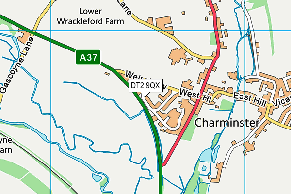 DT2 9QX map - OS VectorMap District (Ordnance Survey) DT2 9QX map - OS VectorMap District (Ordnance Survey)