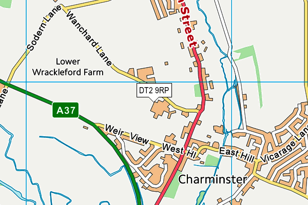 DT2 9RP map - OS VectorMap District (Ordnance Survey) DT2 9RP map - OS VectorMap District (Ordnance Survey)