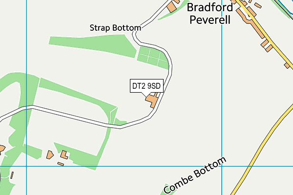 DT2 9SD map - OS VectorMap District (Ordnance Survey) DT2 9SD map - OS VectorMap District (Ordnance Survey)