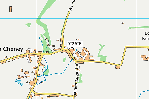 DT2 9TE map - OS VectorMap District (Ordnance Survey) DT2 9TE map - OS VectorMap District (Ordnance Survey)