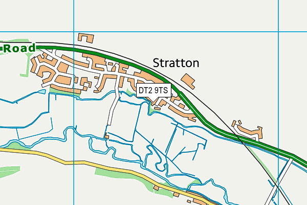 DT2 9TS map - OS VectorMap District (Ordnance Survey) DT2 9TS map - OS VectorMap District (Ordnance Survey)