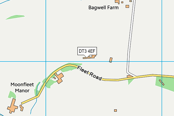 DT3 4EF map - OS VectorMap District (Ordnance Survey) DT3 4EF map - OS VectorMap District (Ordnance Survey)