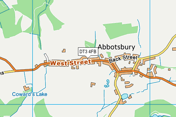 DT3 4FB map - OS VectorMap District (Ordnance Survey) DT3 4FB map - OS VectorMap District (Ordnance Survey)