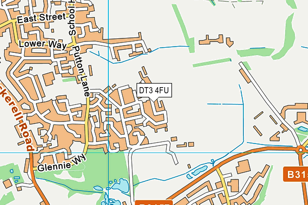 DT3 4FU map - OS VectorMap District (Ordnance Survey) DT3 4FU map - OS VectorMap District (Ordnance Survey)
