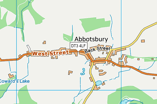 DT3 4LF map - OS VectorMap District (Ordnance Survey) DT3 4LF map - OS VectorMap District (Ordnance Survey)