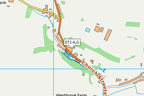 DT3 4LG map - OS VectorMap District (Ordnance Survey) DT3 4LG map - OS VectorMap District (Ordnance Survey)