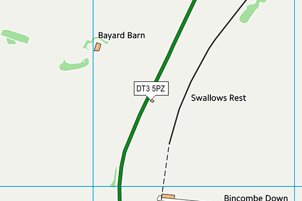 DT3 5PZ map - OS VectorMap District (Ordnance Survey) DT3 5PZ map - OS VectorMap District (Ordnance Survey)