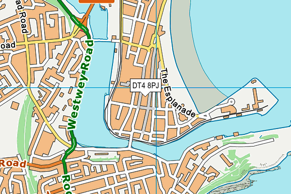 DT4 8PJ map - OS VectorMap District (Ordnance Survey) DT4 8PJ map - OS VectorMap District (Ordnance Survey)