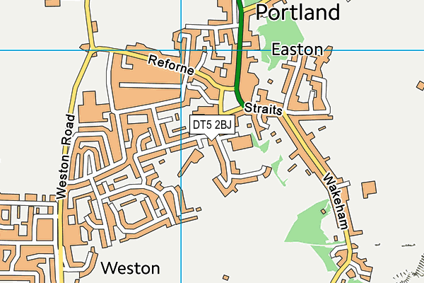 DT5 2BJ map - OS VectorMap District (Ordnance Survey) DT5 2BJ map - OS VectorMap District (Ordnance Survey)