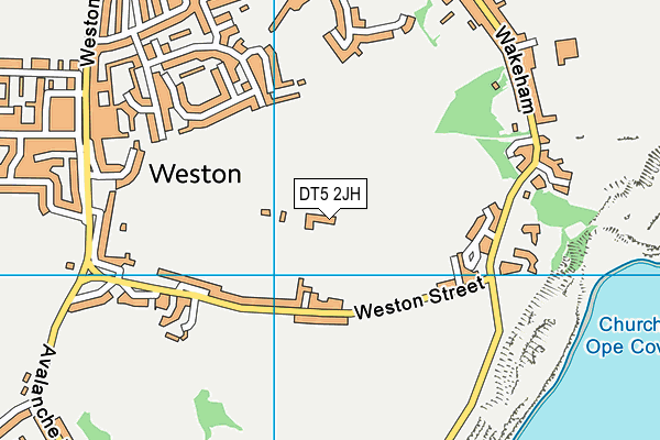 DT5 2JH map - OS VectorMap District (Ordnance Survey) DT5 2JH map - OS VectorMap District (Ordnance Survey)