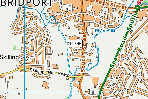 DT6 3NH map - OS VectorMap District (Ordnance Survey) DT6 3NH map - OS VectorMap District (Ordnance Survey)