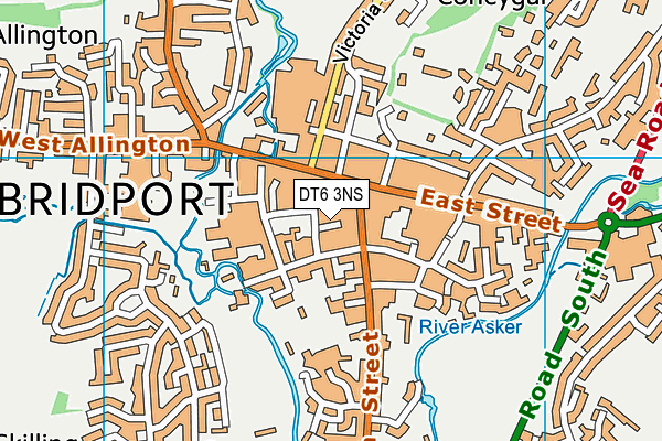 DT6 3NS map - OS VectorMap District (Ordnance Survey) DT6 3NS map - OS VectorMap District (Ordnance Survey)