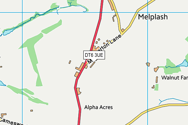DT6 3UE map - OS VectorMap District (Ordnance Survey) DT6 3UE map - OS VectorMap District (Ordnance Survey)