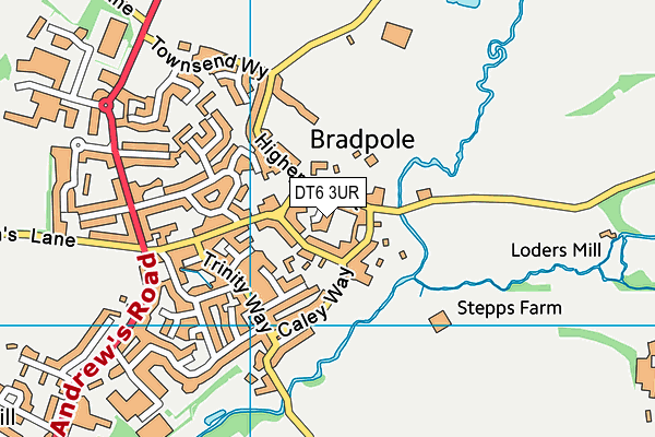 DT6 3UR map - OS VectorMap District (Ordnance Survey) DT6 3UR map - OS VectorMap District (Ordnance Survey)