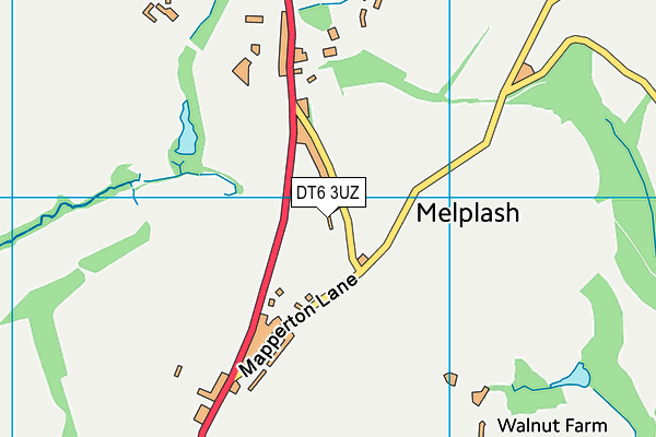 DT6 3UZ map - OS VectorMap District (Ordnance Survey) DT6 3UZ map - OS VectorMap District (Ordnance Survey)