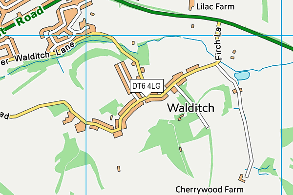DT6 4LG map - OS VectorMap District (Ordnance Survey) DT6 4LG map - OS VectorMap District (Ordnance Survey)