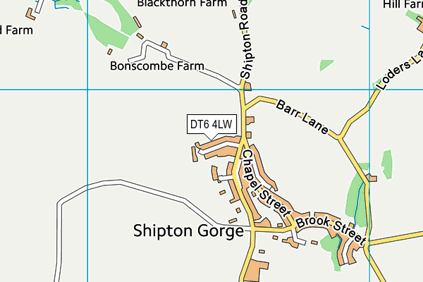 DT6 4LW map - OS VectorMap District (Ordnance Survey) DT6 4LW map - OS VectorMap District (Ordnance Survey)
