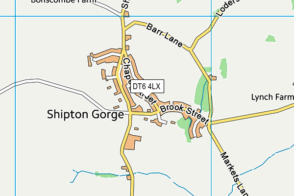 DT6 4LX map - OS VectorMap District (Ordnance Survey) DT6 4LX map - OS VectorMap District (Ordnance Survey)
