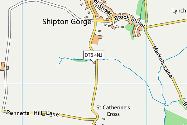 DT6 4NJ map - OS VectorMap District (Ordnance Survey) DT6 4NJ map - OS VectorMap District (Ordnance Survey)