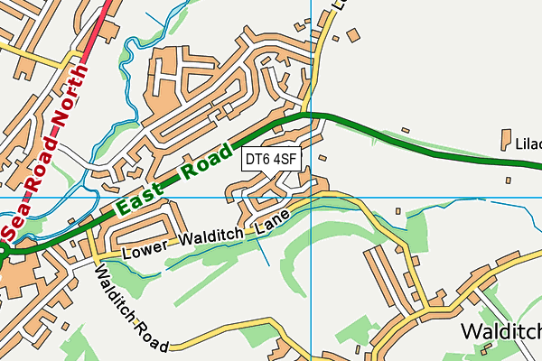 DT6 4SF map - OS VectorMap District (Ordnance Survey) DT6 4SF map - OS VectorMap District (Ordnance Survey)