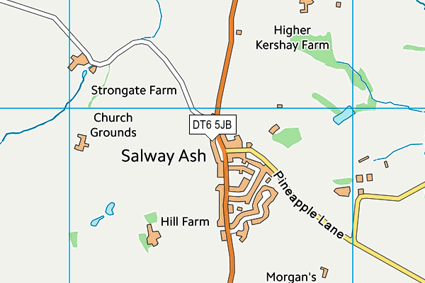 DT6 5JB map - OS VectorMap District (Ordnance Survey) DT6 5JB map - OS VectorMap District (Ordnance Survey)