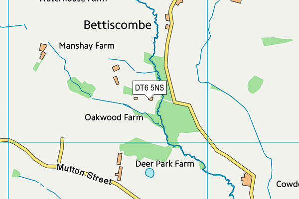 DT6 5NS map - OS VectorMap District (Ordnance Survey) DT6 5NS map - OS VectorMap District (Ordnance Survey)