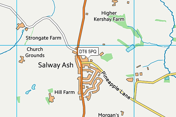 DT6 5PQ map - OS VectorMap District (Ordnance Survey) DT6 5PQ map - OS VectorMap District (Ordnance Survey)
