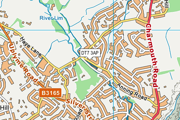 DT7 3AP map - OS VectorMap District (Ordnance Survey) DT7 3AP map - OS VectorMap District (Ordnance Survey)