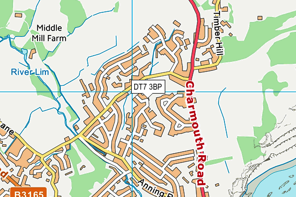 DT7 3BP map - OS VectorMap District (Ordnance Survey) DT7 3BP map - OS VectorMap District (Ordnance Survey)