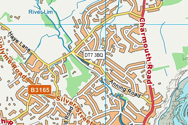 DT7 3BQ map - OS VectorMap District (Ordnance Survey) DT7 3BQ map - OS VectorMap District (Ordnance Survey)