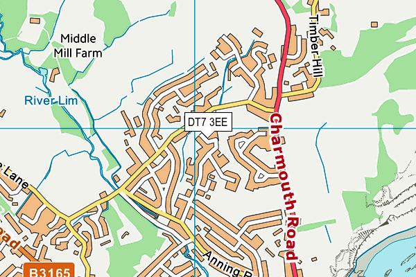 DT7 3EE map - OS VectorMap District (Ordnance Survey) DT7 3EE map - OS VectorMap District (Ordnance Survey)